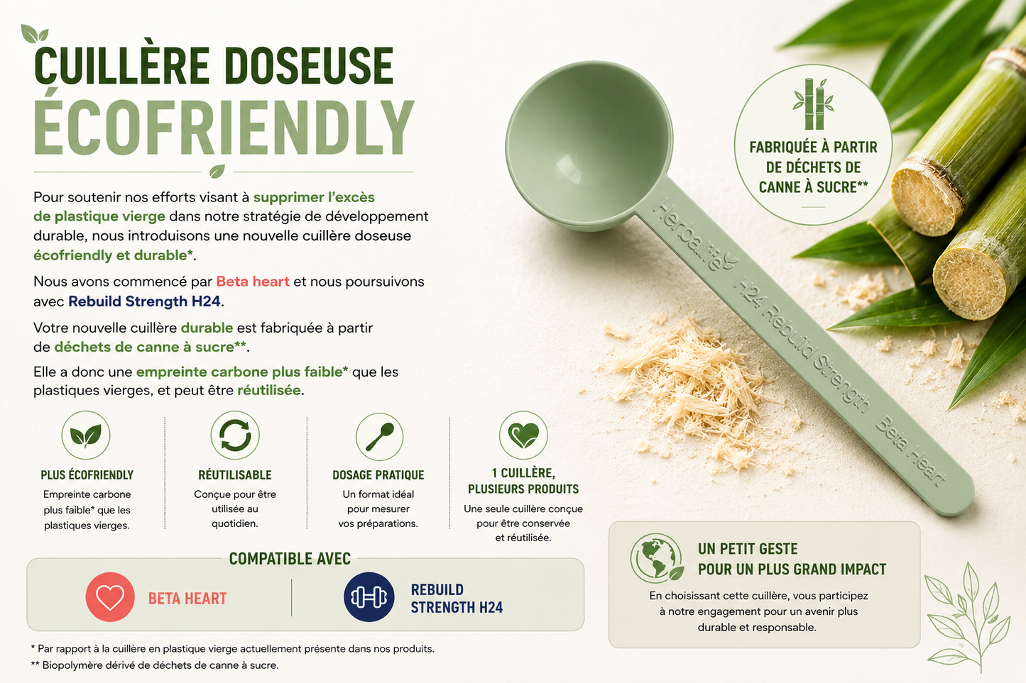 Cuillère doseuse écofriendly et durable pour Beta Heart®/Rebuild Strength