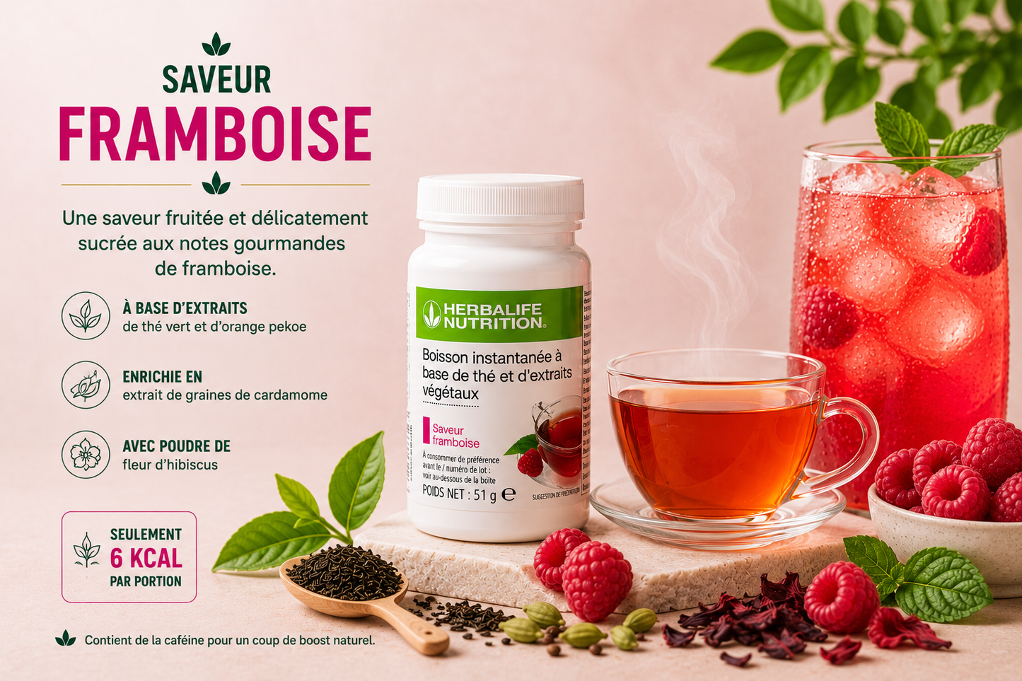 Boisson instantanée à base de thé et d'extraits végétaux 51g