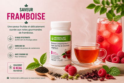 Boisson instantanée à base de thé et d'extraits végétaux 51g