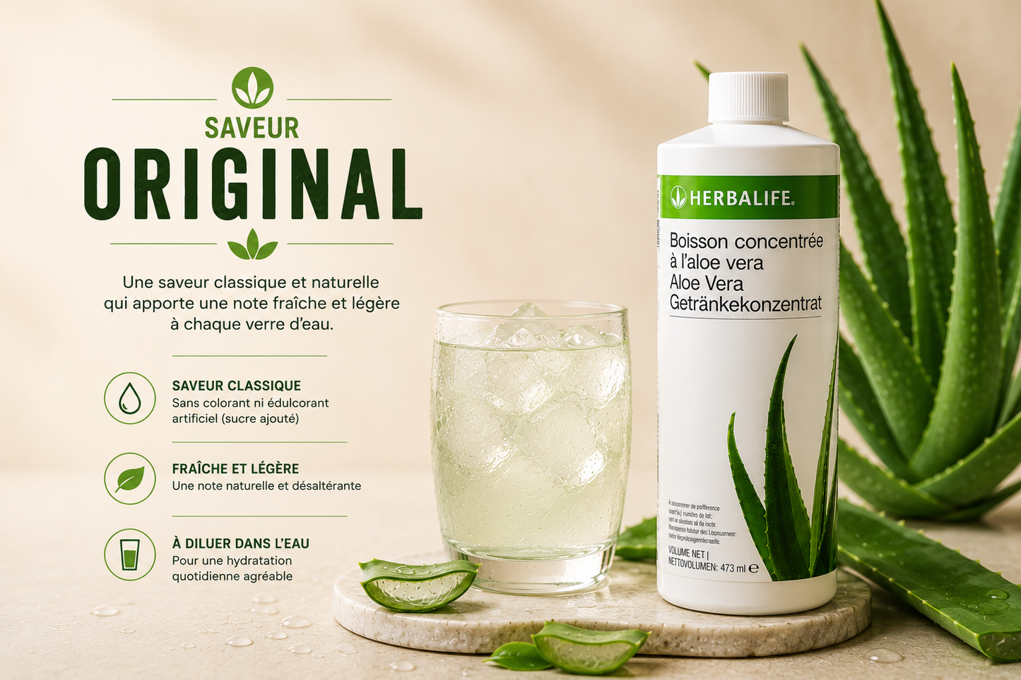 Boisson Concentrée à l’Aloe Vera 473 ml