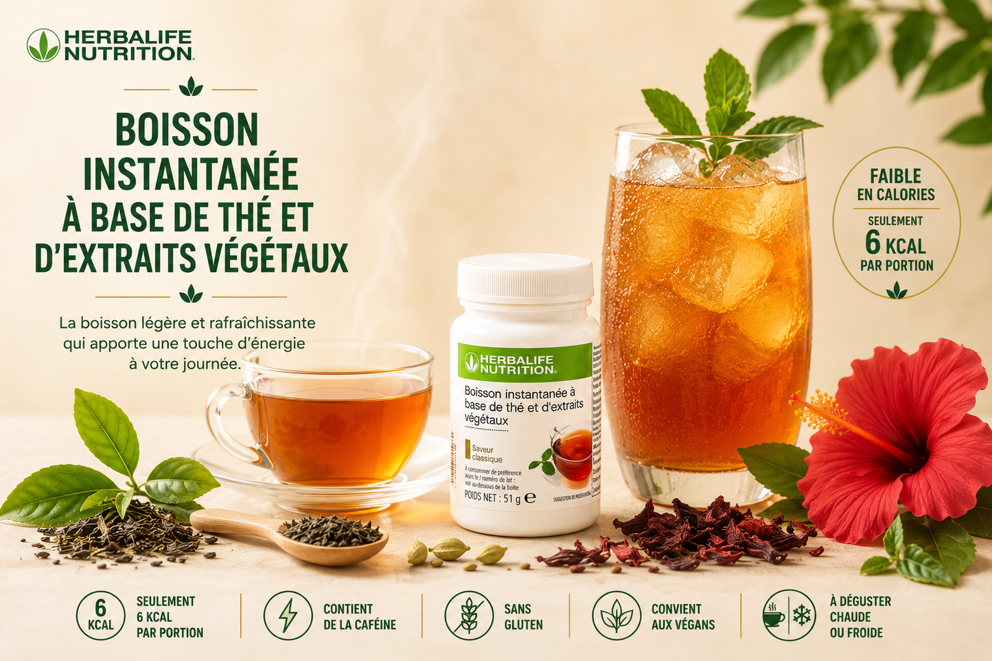 Boisson instantanée à base de thé et d'extraits végétaux 51g